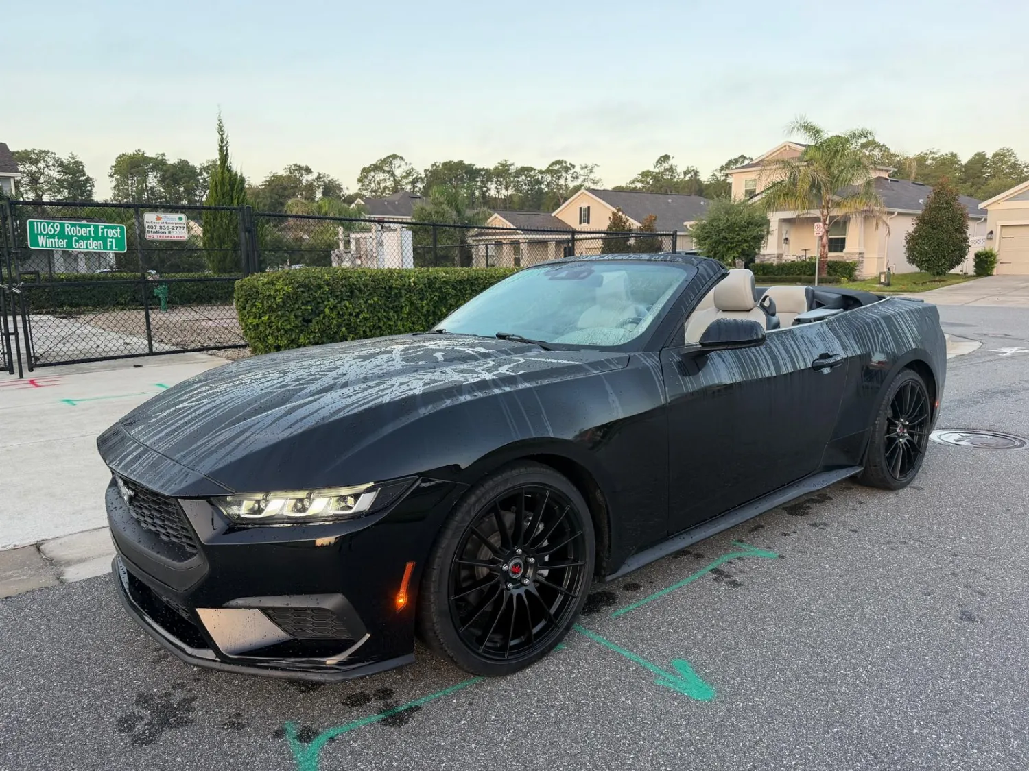 Ford Mustang 3