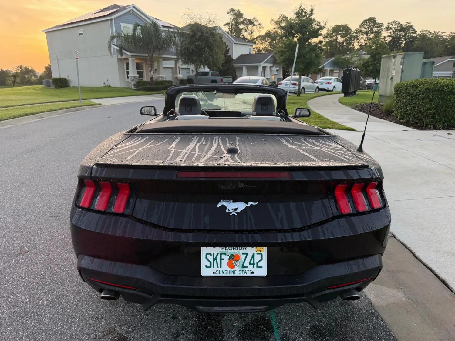 Ford Mustang 5