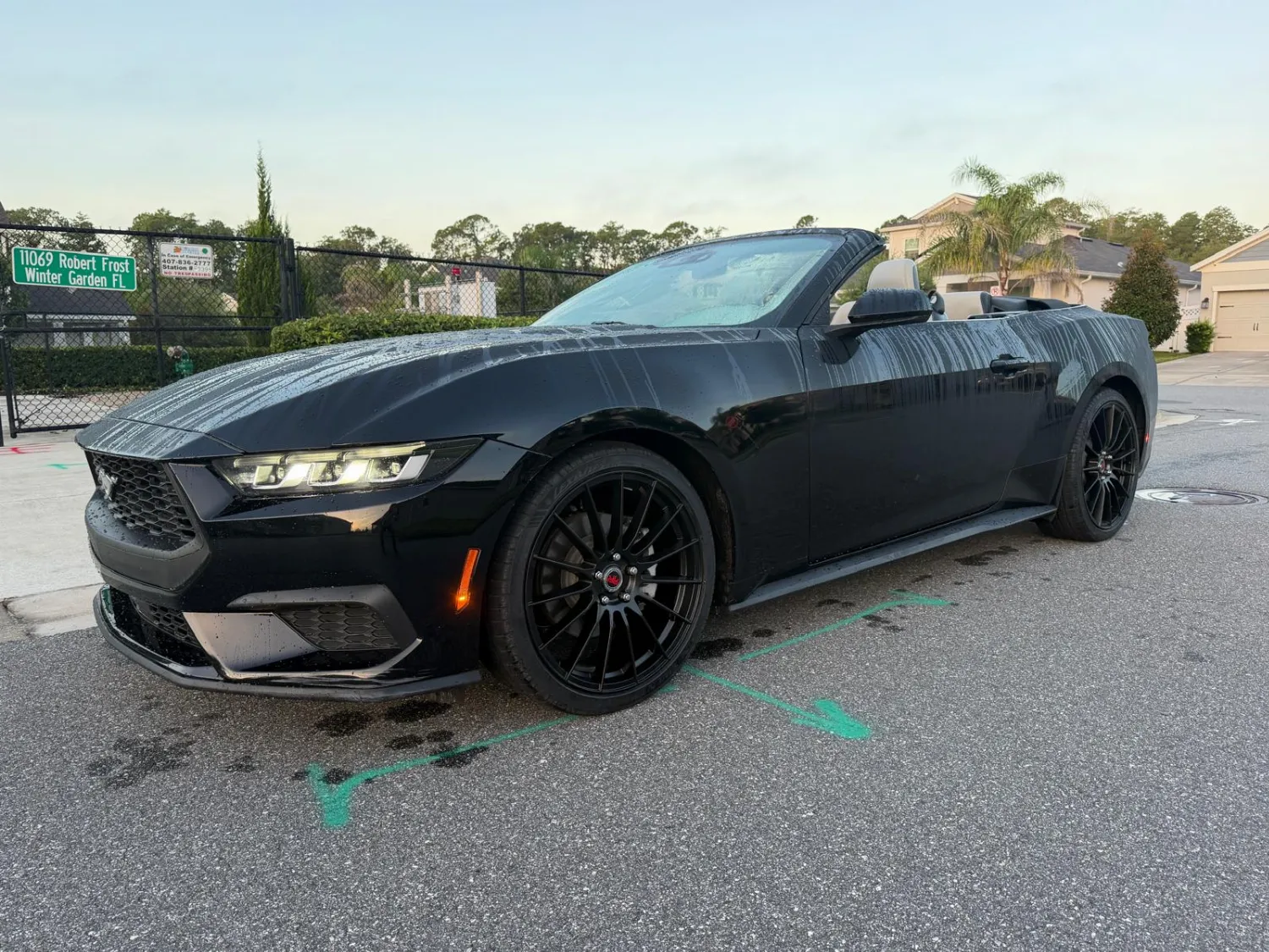 Ford Mustang 6