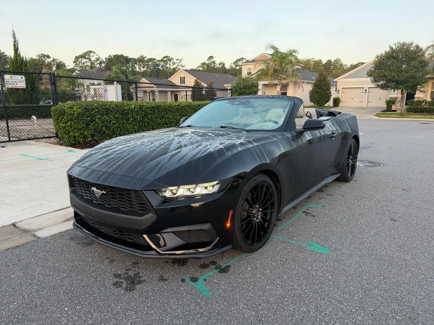 Ford Mustang 4